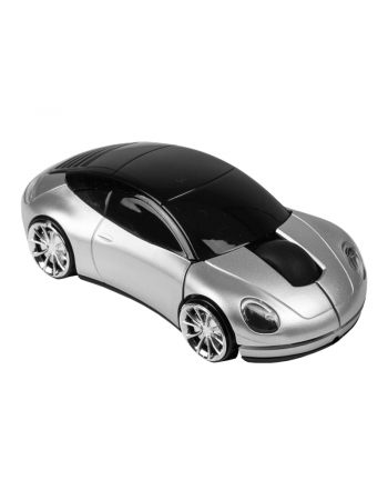RAToN CAR
