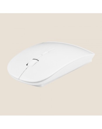 RAToN SOURIS