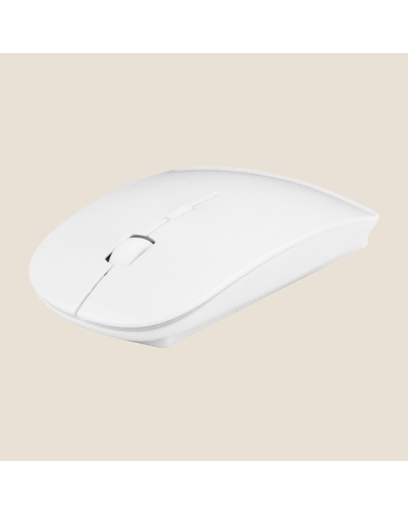 RAToN SOURIS