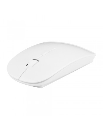 RAToN SOURIS