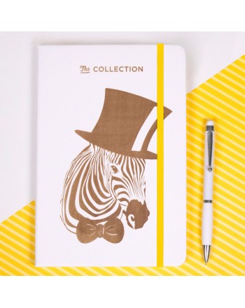 LIBRETA COLORE 100 FSC