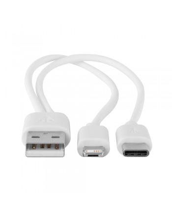 CABLE BETA