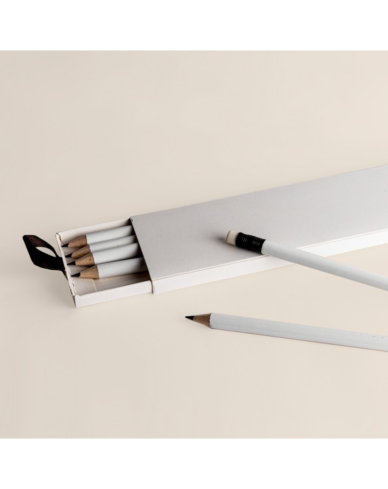 SET DE 6 LAPICES WRITER 100 FSC