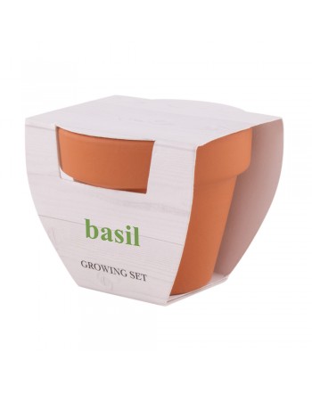 MACETA BASIL