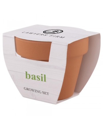 MACETA BASIL