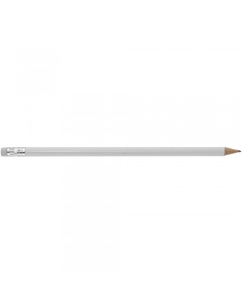 LAPIZ SURGEON