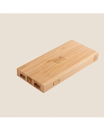 POWER BANK EVONY 100 FSC