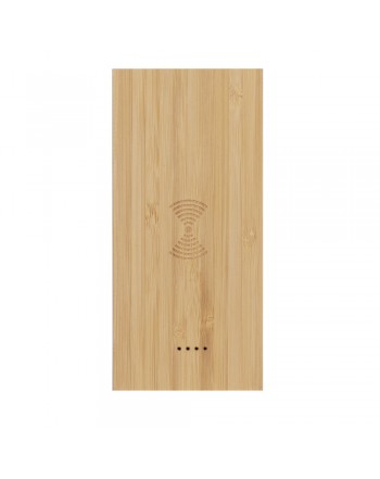 POWER BANK EVONY 100 FSC