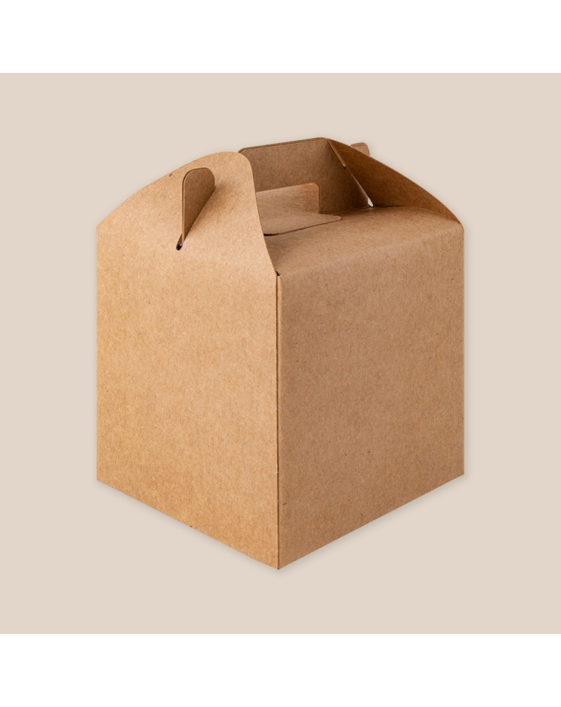 CAJA RELY