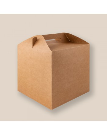 CAJA BIG RELY 100 FSC