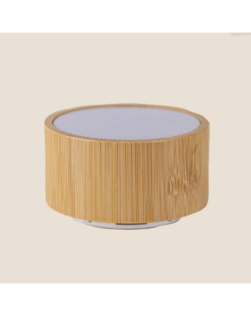 ALTAVOZ MAINE