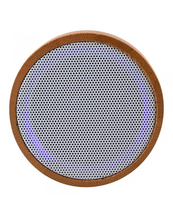 ALTAVOZ MAINE