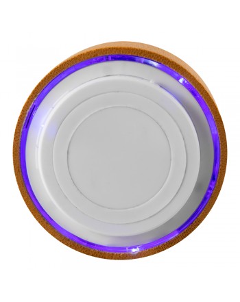 ALTAVOZ MAINE