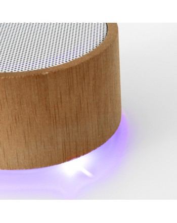 ALTAVOZ MAINE