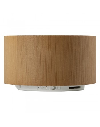 ALTAVOZ MAINE