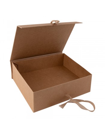 CAJA STEPO