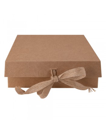 CAJA STEPO