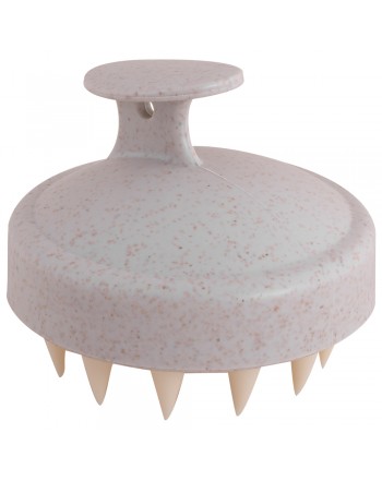 EMULSIONADOR CLOVE