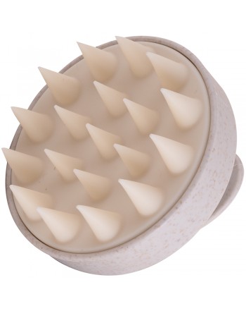 EMULSIONADOR CLOVE