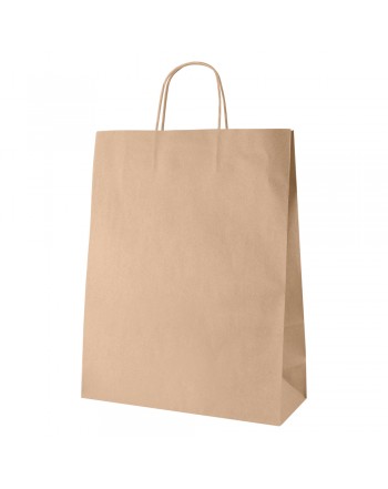 BOLSA AYSEN GRANDE 100 FSC