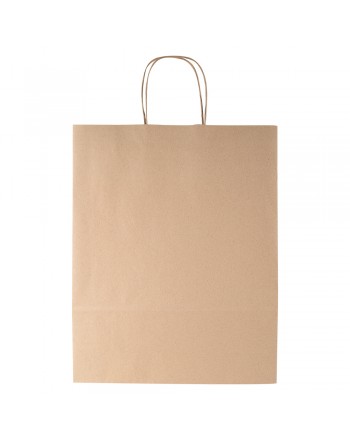BOLSA AYSEN GRANDE 100 FSC
