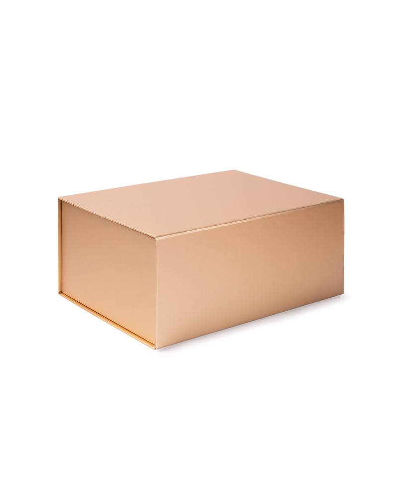 CAJA SOLVIA